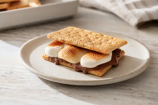 Toasted s'mores with melted chocolate and golden marshmallows on graham crackers